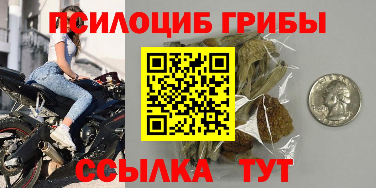 Каменск-Шахтинский  Галлюциногенные грибы Psilocybe  наркошоп  Вход с VPN 